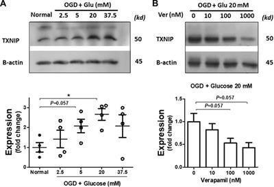 Intra-arterial verapamil improves functional outcomes of thrombectomy in a preclinical model of extended hyperglycemic stroke